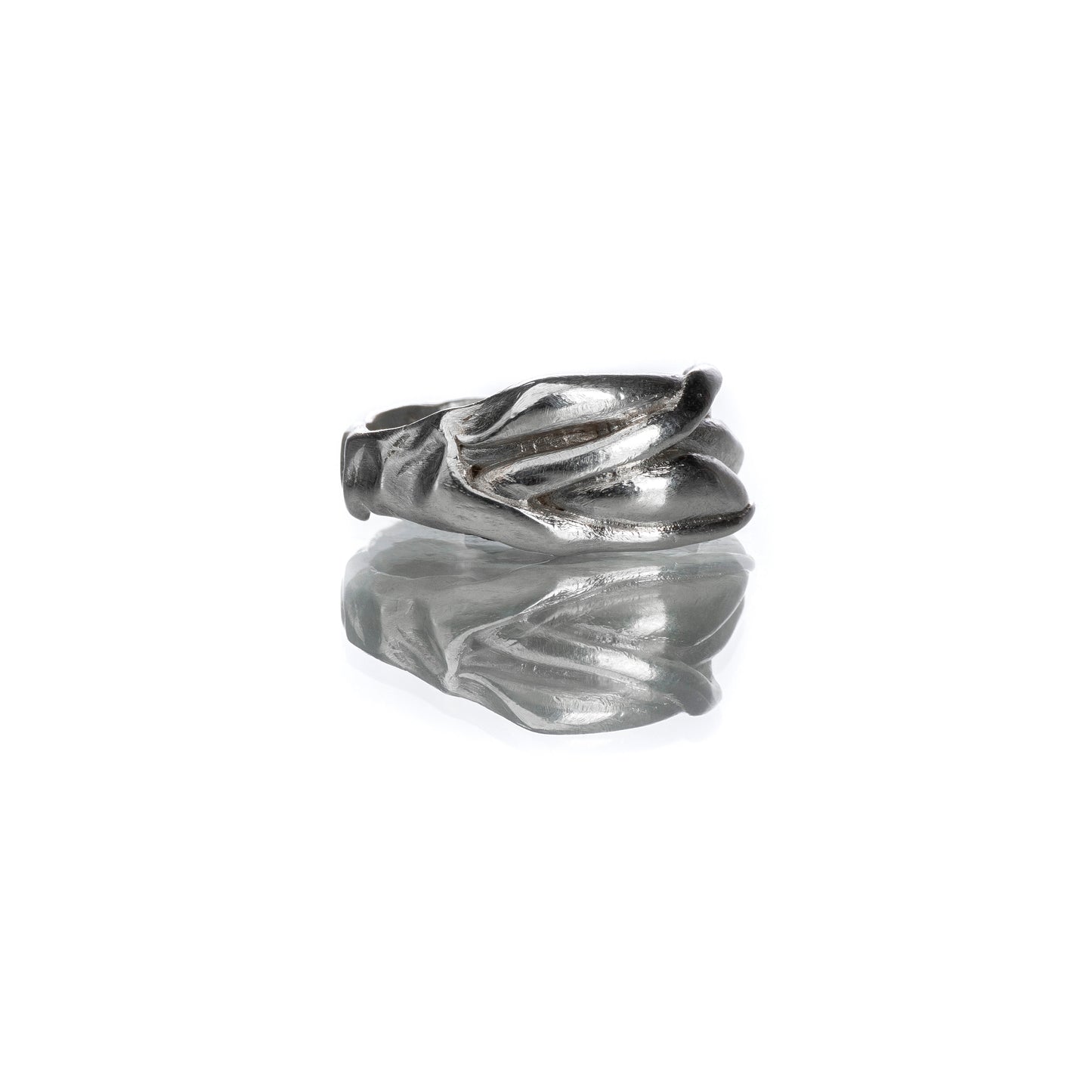 Ring LINES