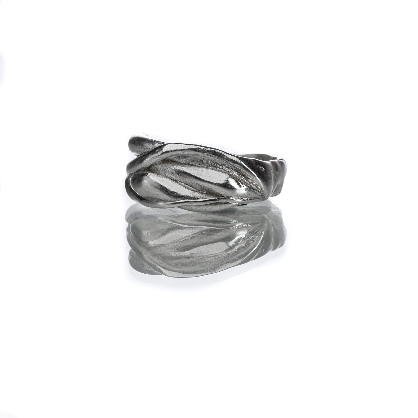 Ring LINES